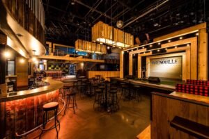 Bar La P'tite Grenouille Boîte à Chanson