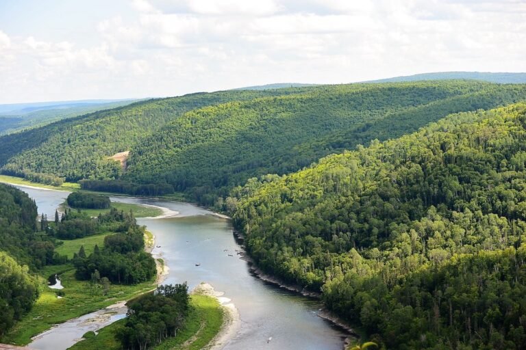 Camping Escuminac . Tourisme Gaspesie 768x512