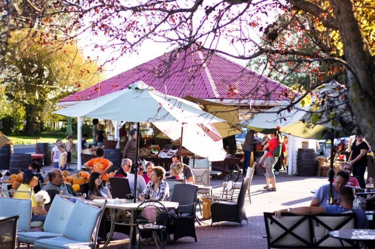 Cidrerie et Vergers St-Nicolas - Photo 1