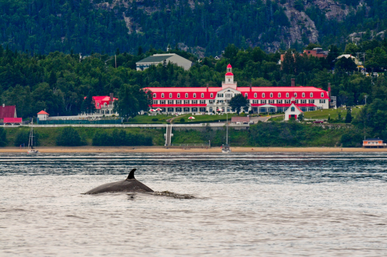 Hotel Tadoussac Tourisme Cote Nord Route des Baleines 1 1 768x510