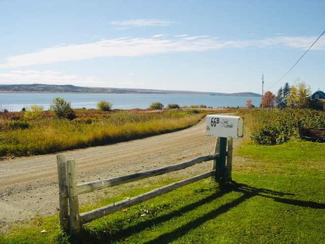 Au coeur de l'ile - Ile Verte