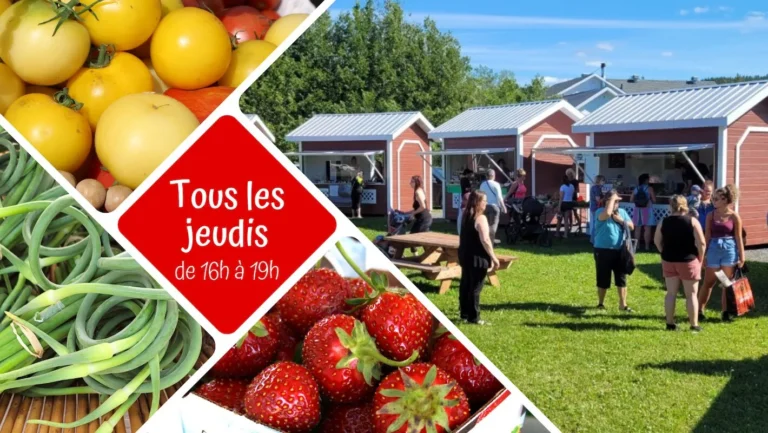 Marché public Matapédien - Photo 1