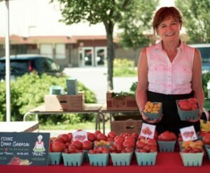 Marché public de Pont-Rouge