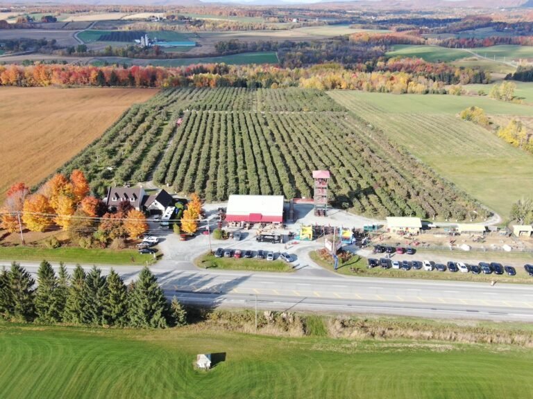 Verger La Pommalbonne - Photo 1