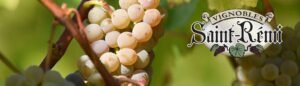 Vignoble Saint-Rémi