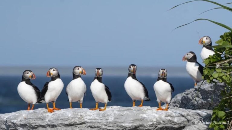 famille loisel. longue pointe cote nord 768x432