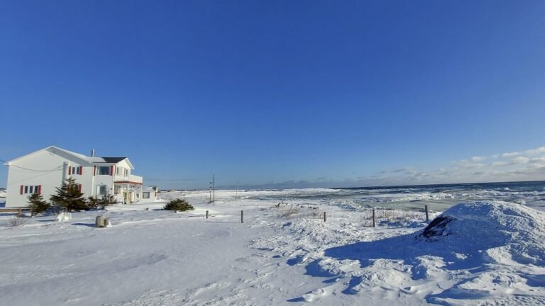 LA MAISON DU BORD DE MER 768x432