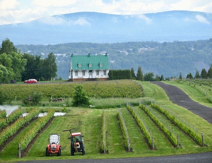 Municipalité de Sainte-Pétronille-Ile-D'orleans