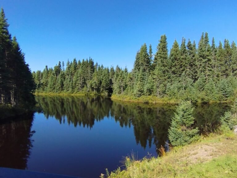Camping Saint-Félicien - Lac-Saint-Jean