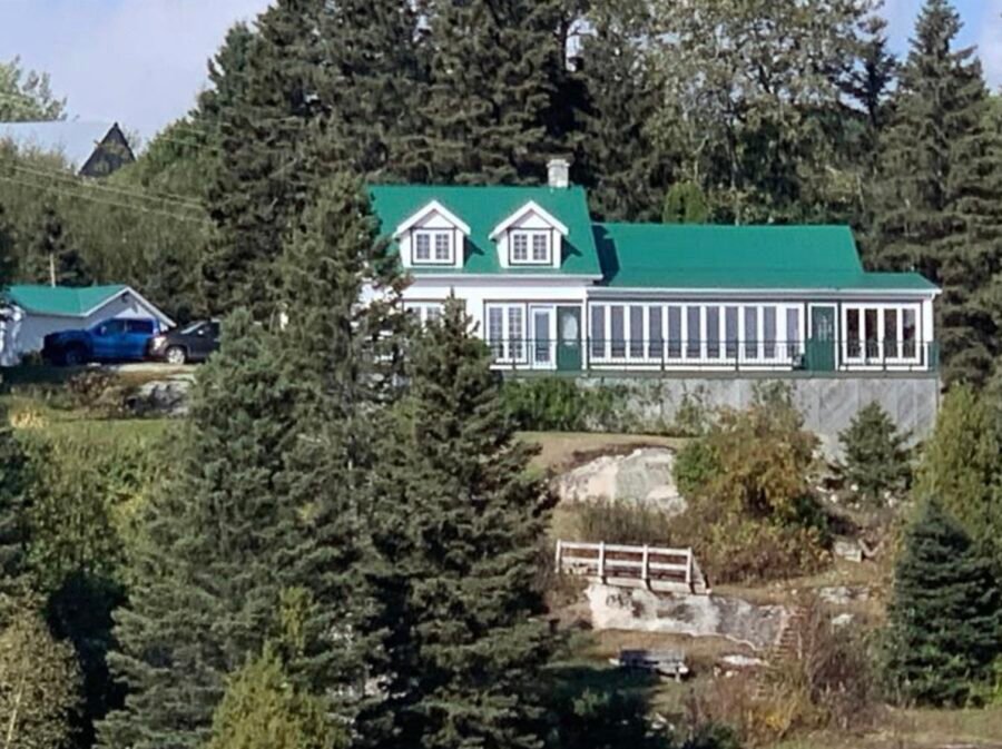 Le Ballet Des Baleines