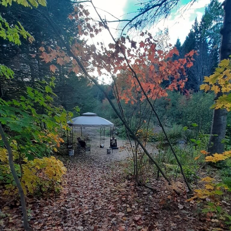 Les yourtes du petit ruisseau - Mandeville - Lanaudière