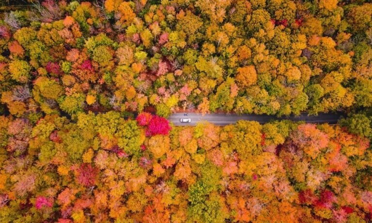 Parc régional des Grèves - Contrecoeur - Montérégie