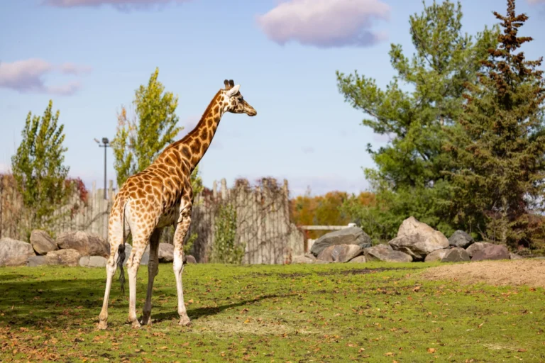 Zoo de Granby - Cantons de l'Est