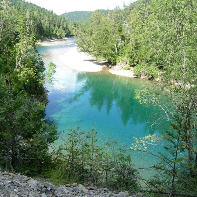 Camping de la 1er EST-Bonaventure- Gaspésie