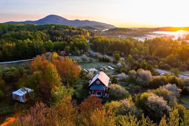 Espace Hors Champs-Austin-Cantons de l'Est