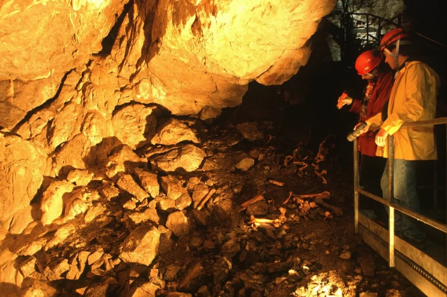 La Grotte de Saint-Elzéar