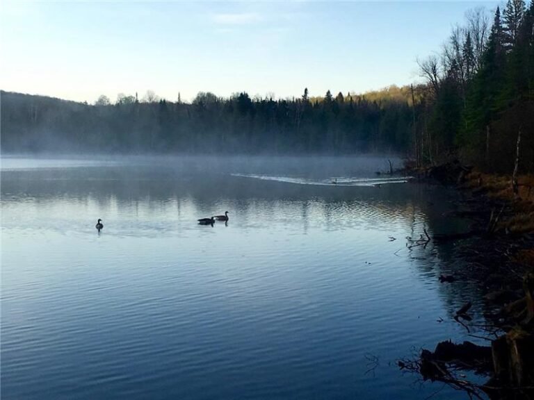 Refuge des Malards-Laurentides