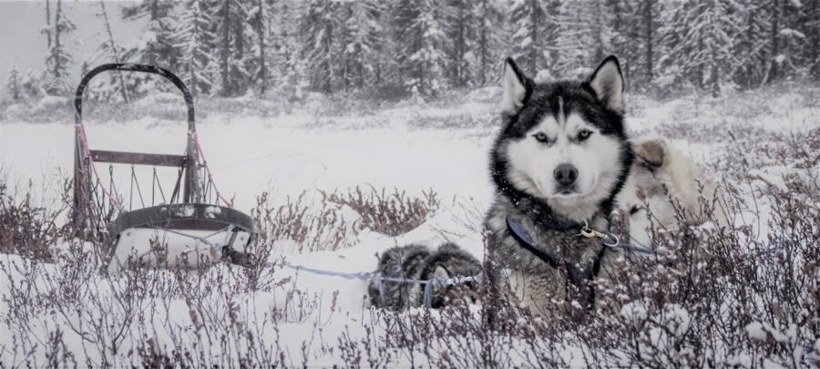 Aventuraid, l'aventure 4 saisons