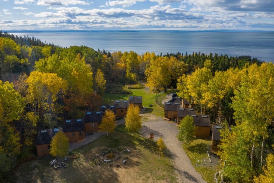 Camp D'Arts Écologiques