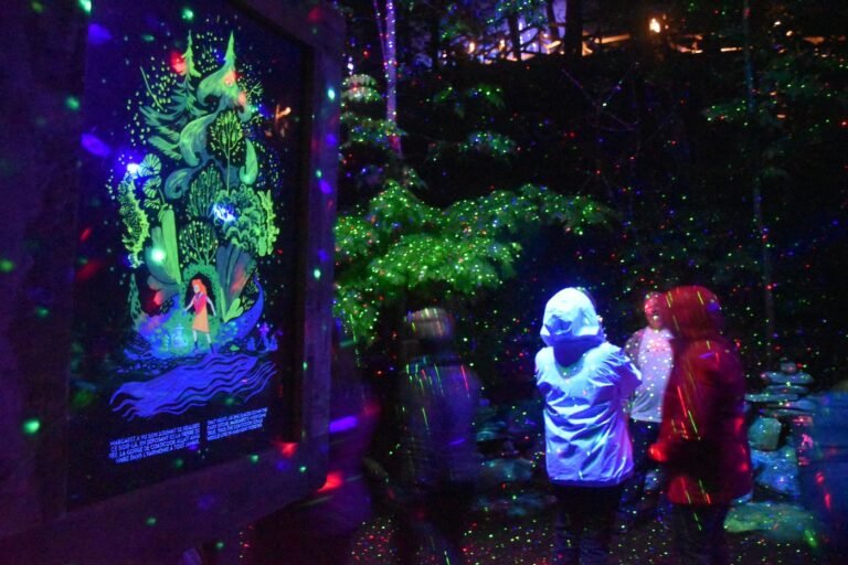 Foresta Lumina Coaticook - Cantons de l'Est