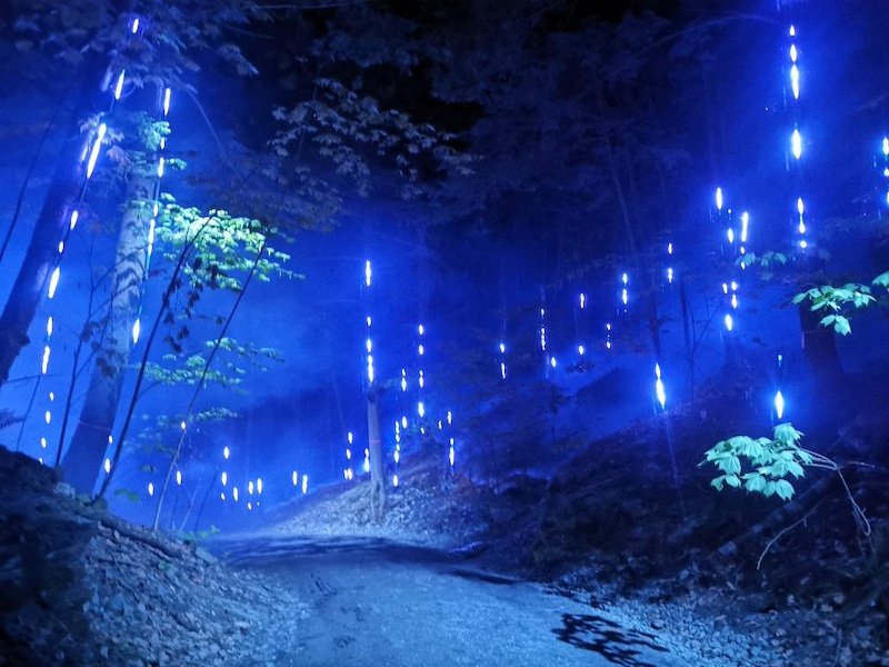 Foresta Lumina Coaticook - Cantons de l'Est