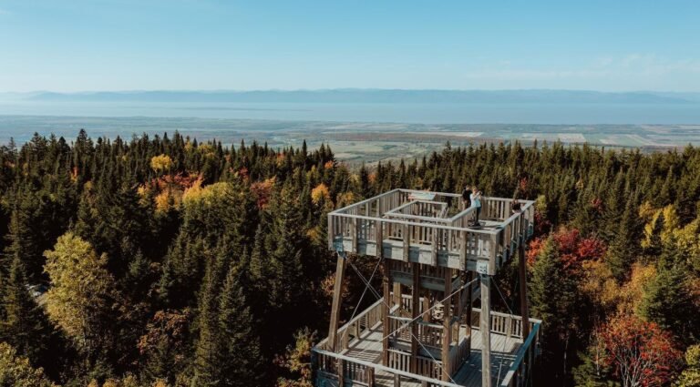 La tour d'observation du Lac Trois-Saumons