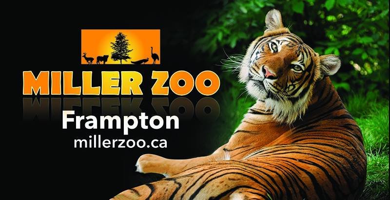 Le Miller Zoo-Frampton - Chaudiere-Appalaches