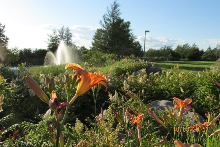 Les Jardins de l'Anse sept-iles-Cote-Nord.jpg