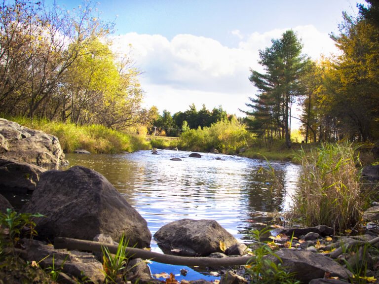 MRC D'Acton-Monteregie