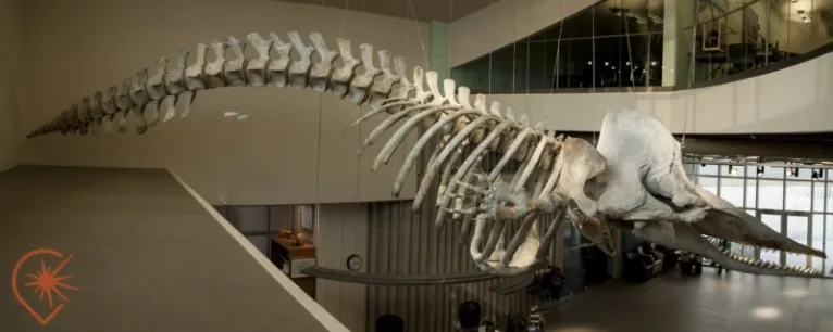 Musée de la Mer-Iles de la Madeleine