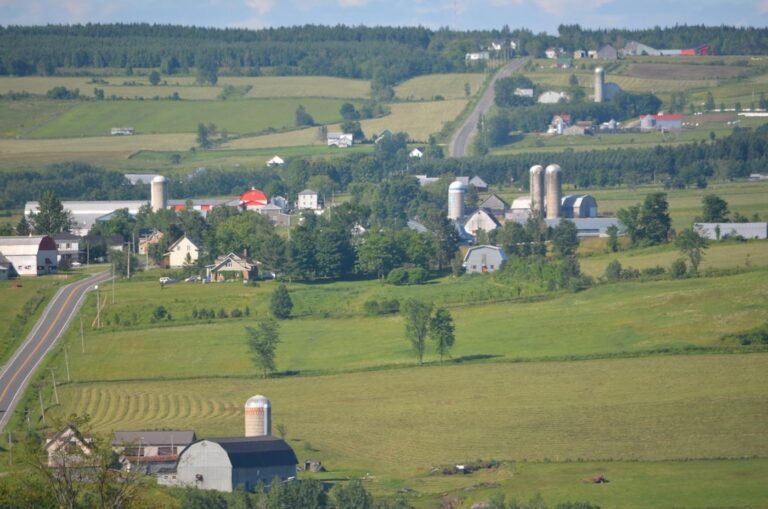 Municipalité de Saint-Rémi-de-Tingwick - Destination Centre-du-Québec Municipalité de Saint-Rémi-de-Tingwick - Destination Centre-du-Québec