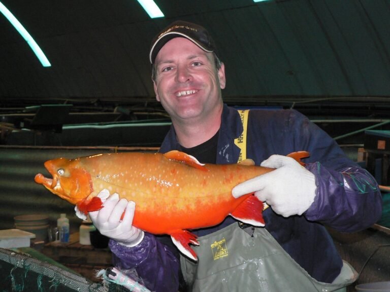 Aquaculture Gaspesie inc. Gaspe Agrotourisme Gaspesie 1 768x576