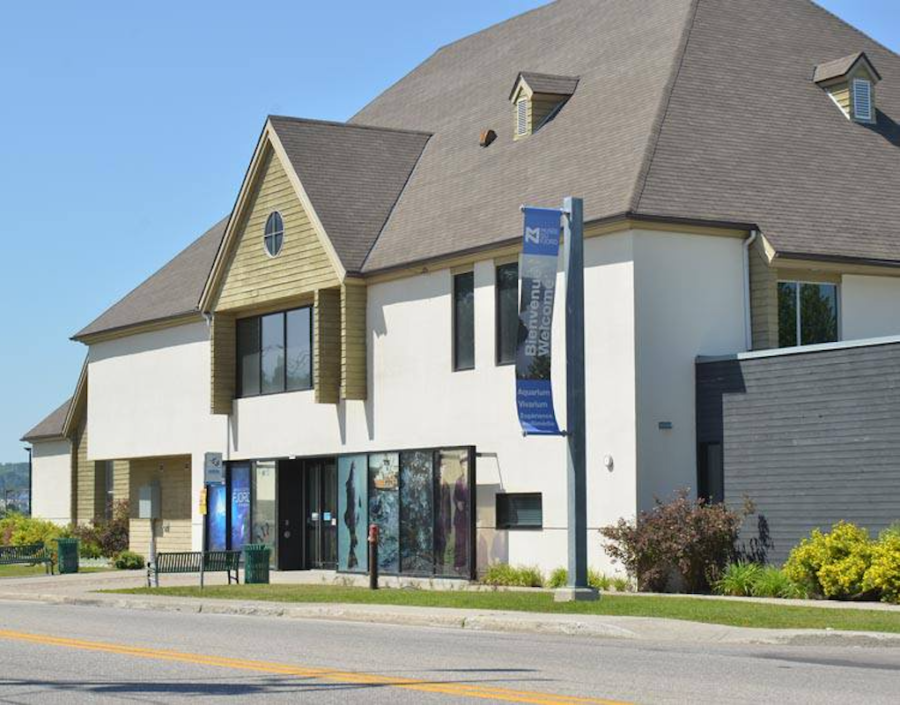 Aquarium du Fjord (Musée du Fjord)