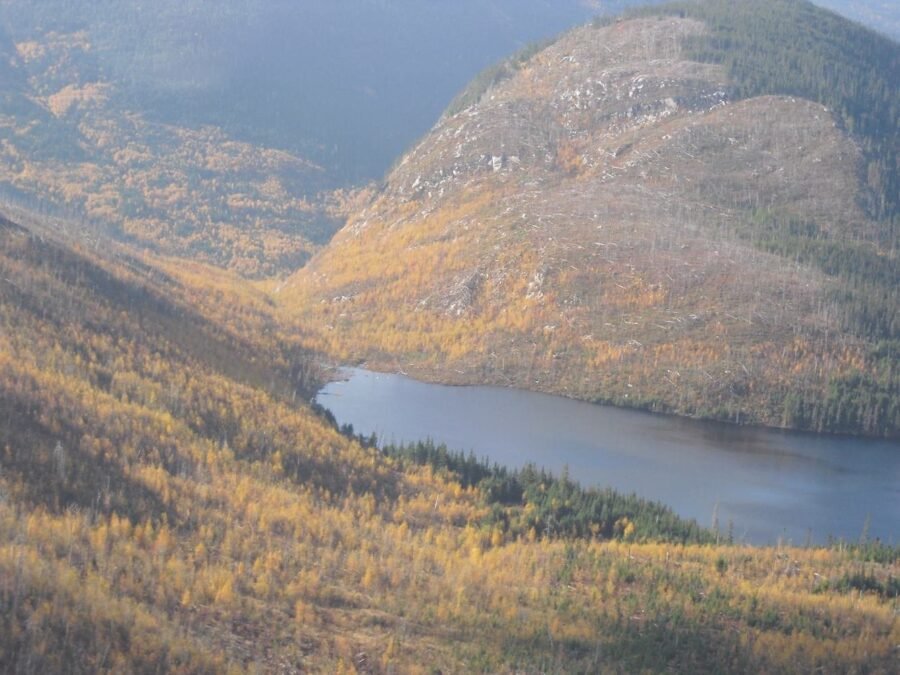 Association Loisirs, Chasse & Pêche du territoire libre