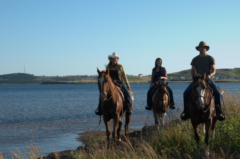 Centre Équestre La Crinière Au Vent - Photo 1