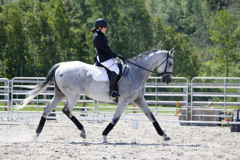 Centre Equestre La Martingale Plein air Lac St Jean  768x512