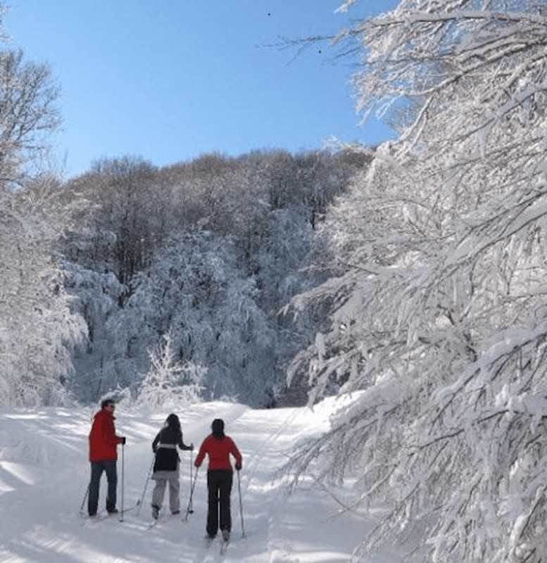 Centre de Ski de Fond Richmond Melbourne