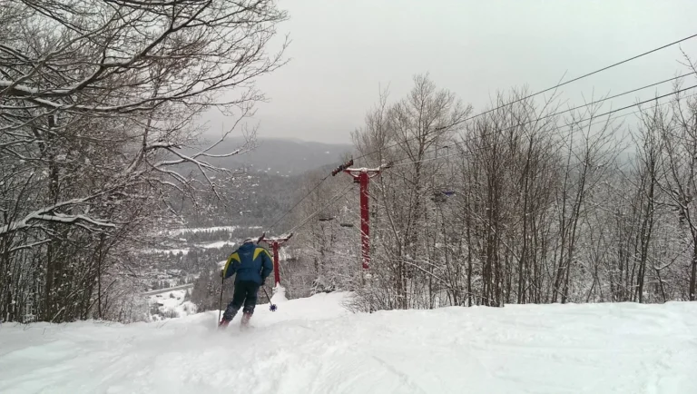 Expérience Mont Alta - Photo 1