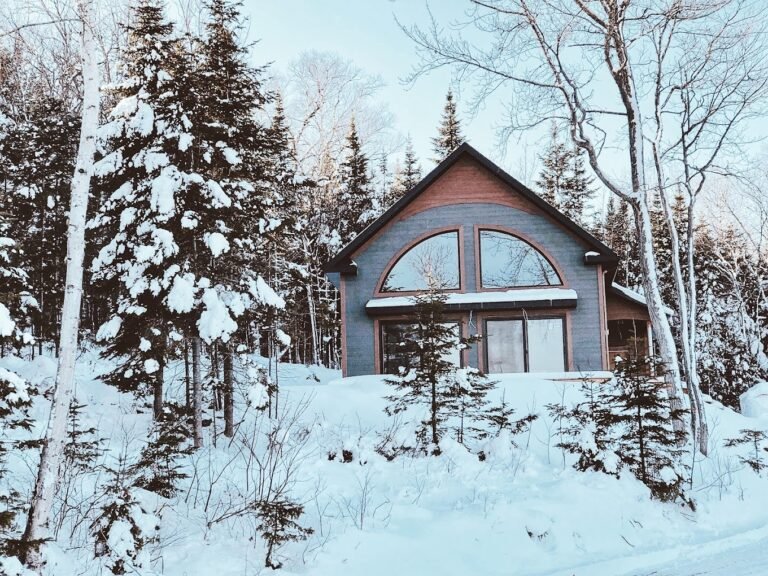 Chalet de la Petite Ourse - Photo 1