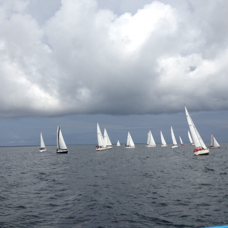 Club Nautique les Plaisanciers du Havre - Photo 1