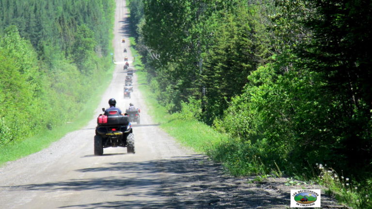 Club VTT Les Défricheurs de L’Islet-Sud - Photo 1
