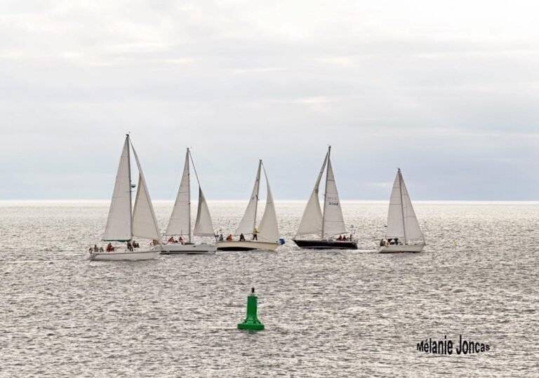 Club de voile de Rimouski Destination plein air Bas Saint Laurent2 768x539