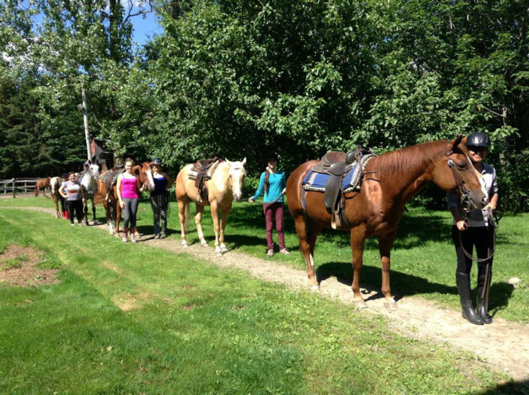 Équitation DAWSON, Cantons-de-l'Est / Estrie, Orford