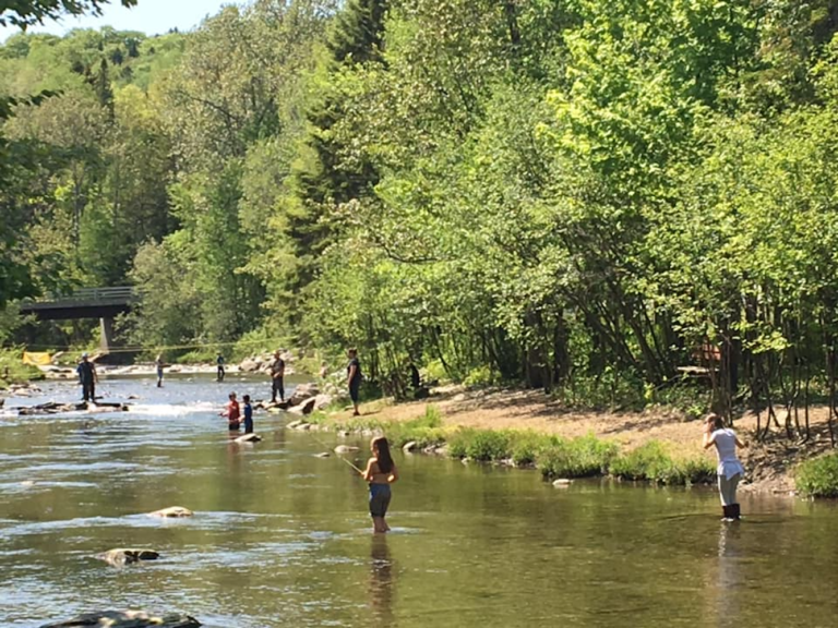 Fete de la Peche Sherbrooke Tourisme Cantons de lEst 1 768x576