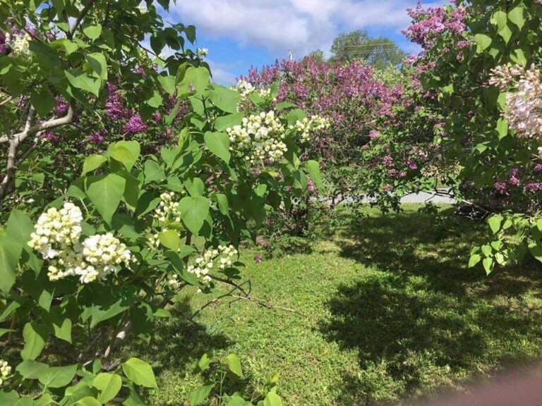 Jardins de Cap a lAigle Destination Charlevoix 768x576