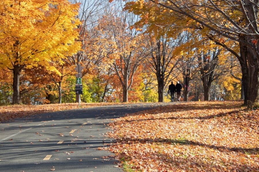 Les Sentiers La Balade de Lévis