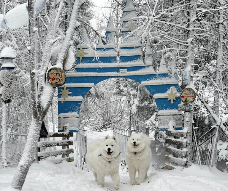 Les sentiers canins Leventoux - Sept-Iles - Destination Cote-Nord