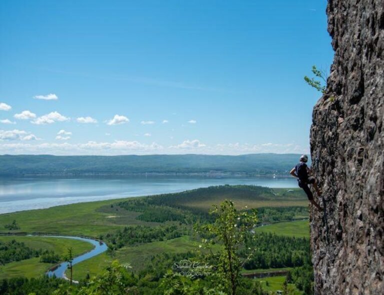 Sentiers et marais de la baie au chêne - Photo 1