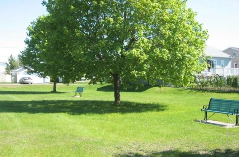 Parc de la Quatorzième-Rue - Photo 1