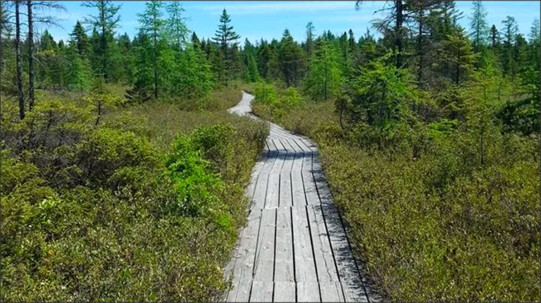 Parc écoforestier de Johnville - Photo 1